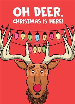Oh deer, it's the time again where we've all got to deck the halls and jingle our bells etc! Let them know it's Christmas with this punny Scribbler card.