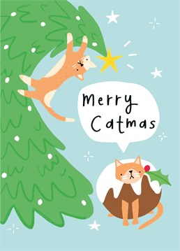Any cat owner knows the struggle of cats and Christmas trees and will find the humour in this cute Scribbler card.