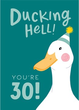 Ducking hell! You're 30!    Celebrate your friend, work colleague, brother, son or grandson turning 30 with this funny Birthday card!    Designed by The Cake Thief