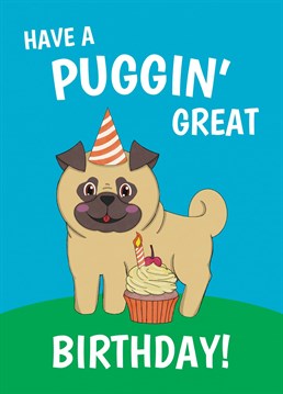 Send this kawaii (super cute) style Pug dog card to wish them a puggin' great Happy Birthday. Designed by Cupsie's Creations.