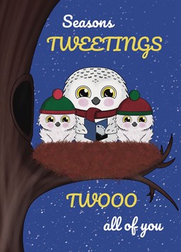 Wish them all a Merry Christmas with this cute owl-themed season's tweetings Xmas card. Designed by Cupsie's Creations