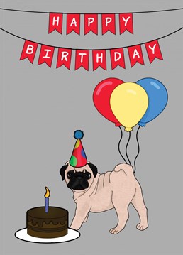 Send a Dog lover this cute Pug Birthday Card to celebrate them becoming another year older. Designed by Cupsie's Creations.