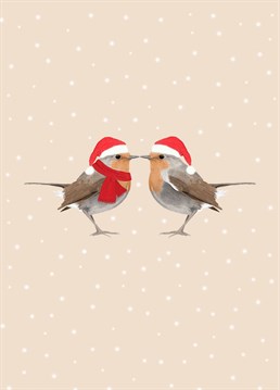 Wish your friends and family a Merry Christmas with these cute Christmas Robin's.