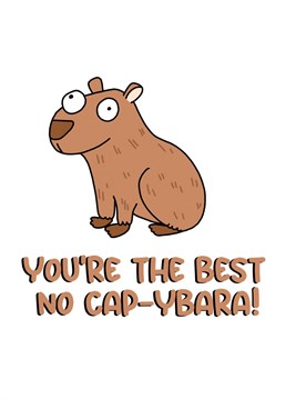 No cap this card is perfect for the capybara lover in your life. Designed by Doodles From My Brain