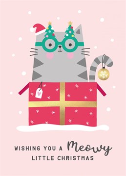 Send out Meowy Christmas wishes with this cute and crazy Christmassy cat card!