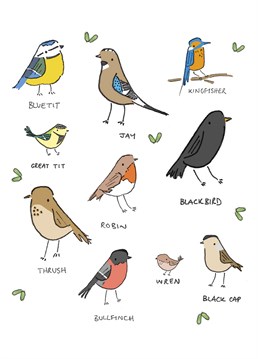 Celebrate garden birds with this Birthday card. My favourite is the robin. Which is yours?