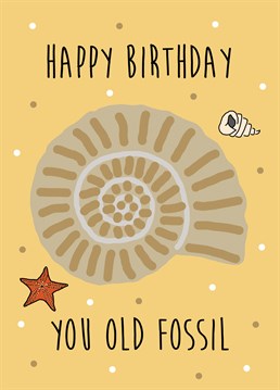 Know someone who's super old? Send them this Birthday card to remind them that they're as old as the fossils in the sea, because you're kind and thoughtful that way