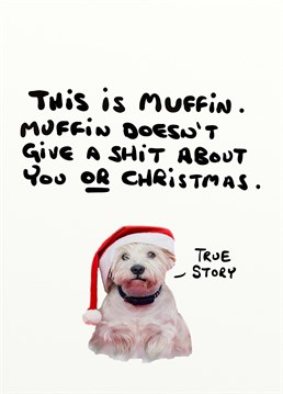 Muffin is awfully hostile for such a cute looking dog! Let them know Muffin doesn't wish them a Merry Christmas with this silly Do Something David card.