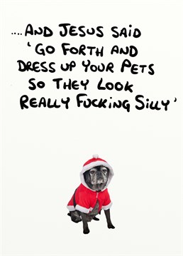 Send this Christmas card by Do Something David to someone who would dress their perfect pooch! I'd argue they're more cute than silly.