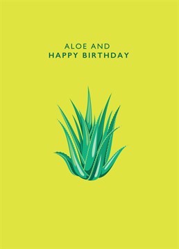 Say aloe from the other side and Happy Birthday to a nature lover with this Love Day design.