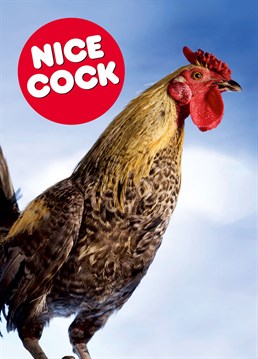 This Valentine's card by Dean Morris is perfect for any man who prides himself on his nice cock. Obviously, we are talking about poultry farmers and cocks of the feathered variety. You knew that right?
