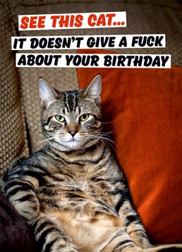 To mark Dean Morris Cards 20th Birthday, we've spoke to the man himself and he has this to say about that card: Occasionally when I find an image the punchline will sometimes present itself almost immediately. This best-selling card was definitely one of them and it's subsequently appeared on coasters, magnets, mugs, gift wrap and more. I think this cat speaks for all cats