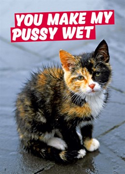 They're a keeper if they can make your pussy wet! Send this Dean Morris card to your partner on Valentine's Day.