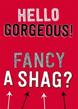 Hello Gorgeous! Fancy A Shag? Well, with a proposition like that you're assured of a great night. A great anniversary or Valentine's card from Dean Morris.