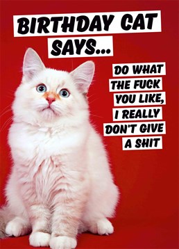 Cat's couldn't give two shits whether you've aged or not, just feed them and get on with it! Send a fellow cat-owner this hilarious Dean Morris Birthday card from their cat.