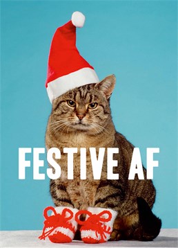 This cat's feline festive AF in its little knitted stockings. Spread Christmas cheer with this card by Dean Morris.