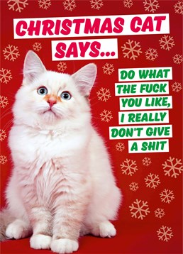 Listen to Christmas Cat and tell someone to do whatever the hell they want this festive season! Designed by Dean Morris.