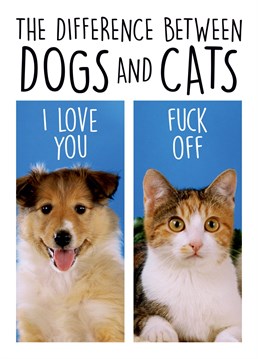 Here's one argument where everyone needs to pick a side. Are you a Crazy cat lady or a dog daddy?