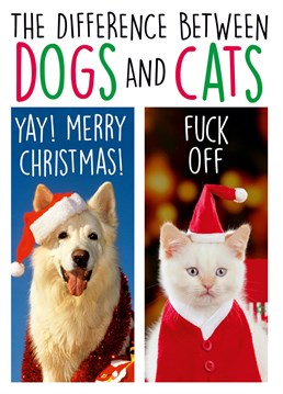 Dogs and cats have a different outlook on life and Christmas is no exception. I'm sure there's a few humans that have the same outlook as cats here.