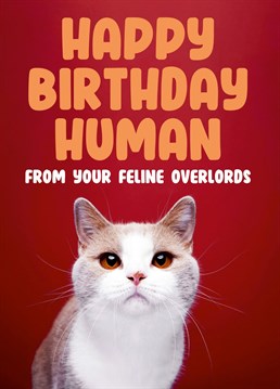 We're all under the rulership of cats. Now here's a birthday card from them.