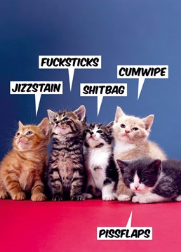 Even if they can't speak, we all know what cats are thinking. Now you can share it with this rude birthday card.