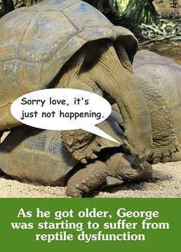 Send this fun, giant tortoise-themed Birthday card to your friends and family to celebrate the joys of getting older... or just to make them smile!
