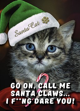 Send this cheeky kitten themed card to your friends and family to give them a laugh at Christmas.