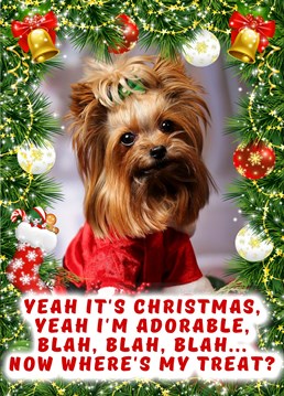Make your friends and family smile with this doggy-themed Christmas card