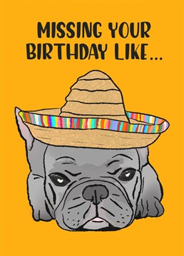 A Birthday Belated card, or a card for when you know you will miss out on a top party. Look at this Frenchie with it's hat all, all ready for the fiesta...you might just be forgiven with this card!