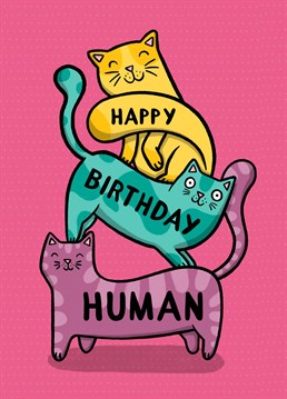 What better way to celebrate their birthday that with a tower of cats!  Designed by Drawn to Cats
