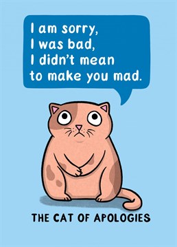 Let the Cat of Apologies show them how sorry you are, they will have to forgive you!  Designed by Drawn to Cats