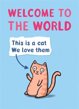 Welcome a new baby to the world and tell them about the important things - cats!  Designed by Drawn to Cats