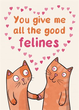 Send your loved one a cute cat pun card for Valentine's day or your anniversary.
