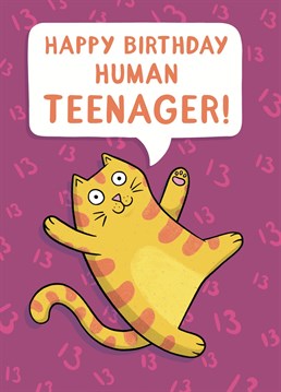 Send your new teenager a cute cat birthday card to celebrate them turning 13! Designed by Drawn to Cats.