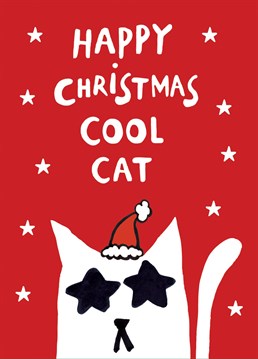 Perfect christmas card for a cool cat