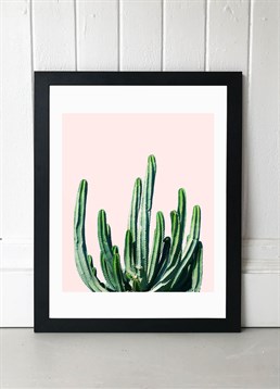Wander off to Mexico with this fabulously fun cactus photography print, available in A2 or A3, framed and unframed. Published by East End Prints and manufactured eco-consciously in the UK. Each time you buy a print or card from East End Prints we donate a percentage of each sale to Cool Earth who work alongside local communities to combat the effects of deforestation in the Amazon.<p>Please note this product is made to order and is non-returnable.</p><p>Cards and gifts are sent separately. View our Delivery page for more details on Gift processing and delivery times.</p>