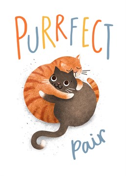 'Purrfect Pair' greeting card with a cute cat illustration. Suitable for Valentine's day, weddings, anniversaries or just to send to your special someone. Illustrated by Emily Nash.