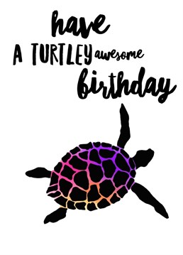 Colourful Turtle themed birthday card