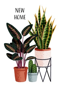 A new home design perfect for those in your life obsessed with their ever-growing plant collection. Those that know where their snake plant is going to live before they've even brought their sofa inside! Designed by Ian Owen, Folio