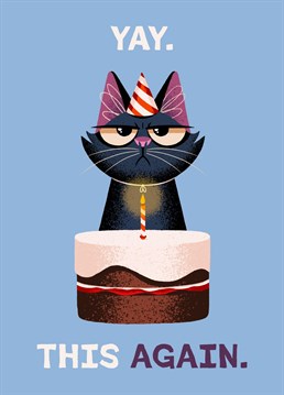 Wish a happy birthday to a sarcastic and reluctant loved one with our favourite grumpy cat design