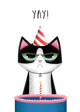 Let someone know that, unlike this angry cat, you're very happy it's their birthday, and you wish them a great day with this Folio card.