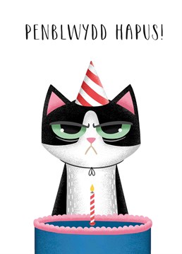 Know a grumpy cat? Then this Folio card will put a smile on their face on their birthday.