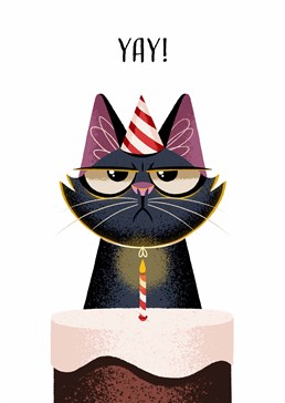 Make a wish that the grumpy cat you send this card to will cheer up and enjoy their birthday! Designed by Folio.