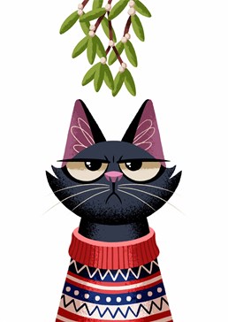 Give this Folio card to a grumpy cat at Christmas time and definitely don't put up any mistletoe around them!