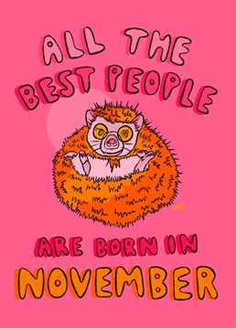 A cute hedgehog birthday card to gift to your favourite November baby celebrating their birthday. Hand illustrated in pink, orange, and yellow.