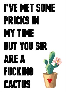 How much of a prick do you need to be before you become a cactus? You should know if you're sending this Birthday card by Filthy Sentiments.