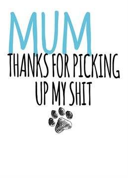 Although the dog isn't physically able to say it, they are thankful of all of the poop scooping! Send this funny Birthday card by Filthy Sentiments to their Mum from the dog!