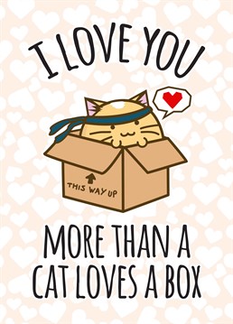 If it fits, they sit and boxes make great seats! An adorable valentine's day card from Fuzzballs.