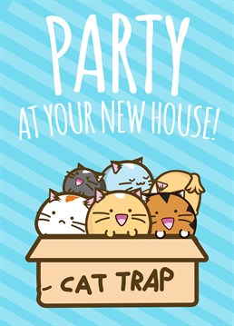 Invite yourself straight over for a responsible house warming party with 6 of your favourite cats - what a riot! Designed by Fuzzballs.