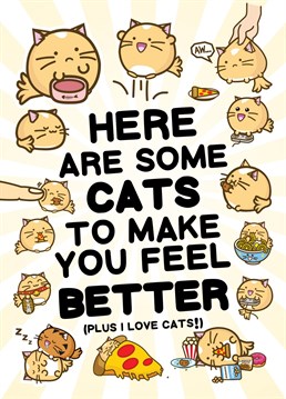 Get well with a cute card covered in cats. Loads of kitties! Fuzzballs
